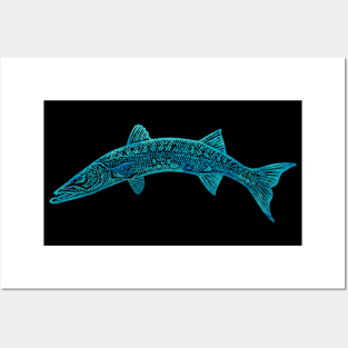 Barracuda Posters and Art